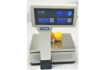 Waga elektroniczna CAS ER JUNIOR 15 P RS