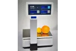 Waga elektroniczna CAS ER JUNIOR 15 P RS