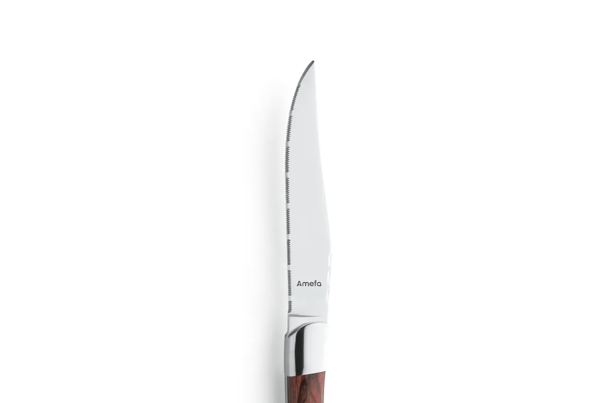 Nóż stekowy ząbkowany Amefa linia Royal Steak 252000B000113
