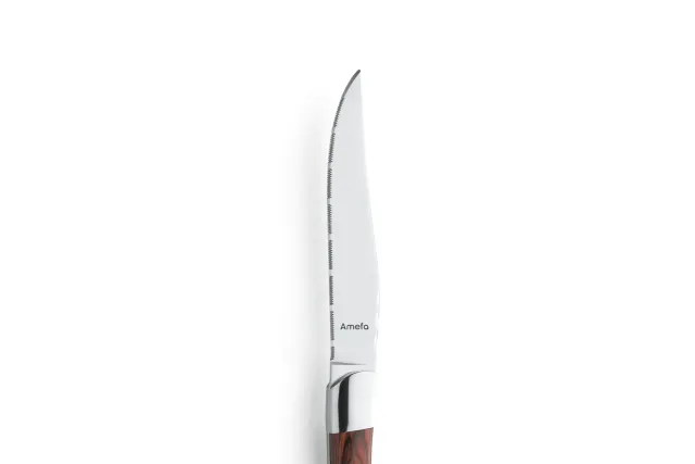 Nóż stekowy ząbkowany Amefa linia Royal Steak 252000B000113
