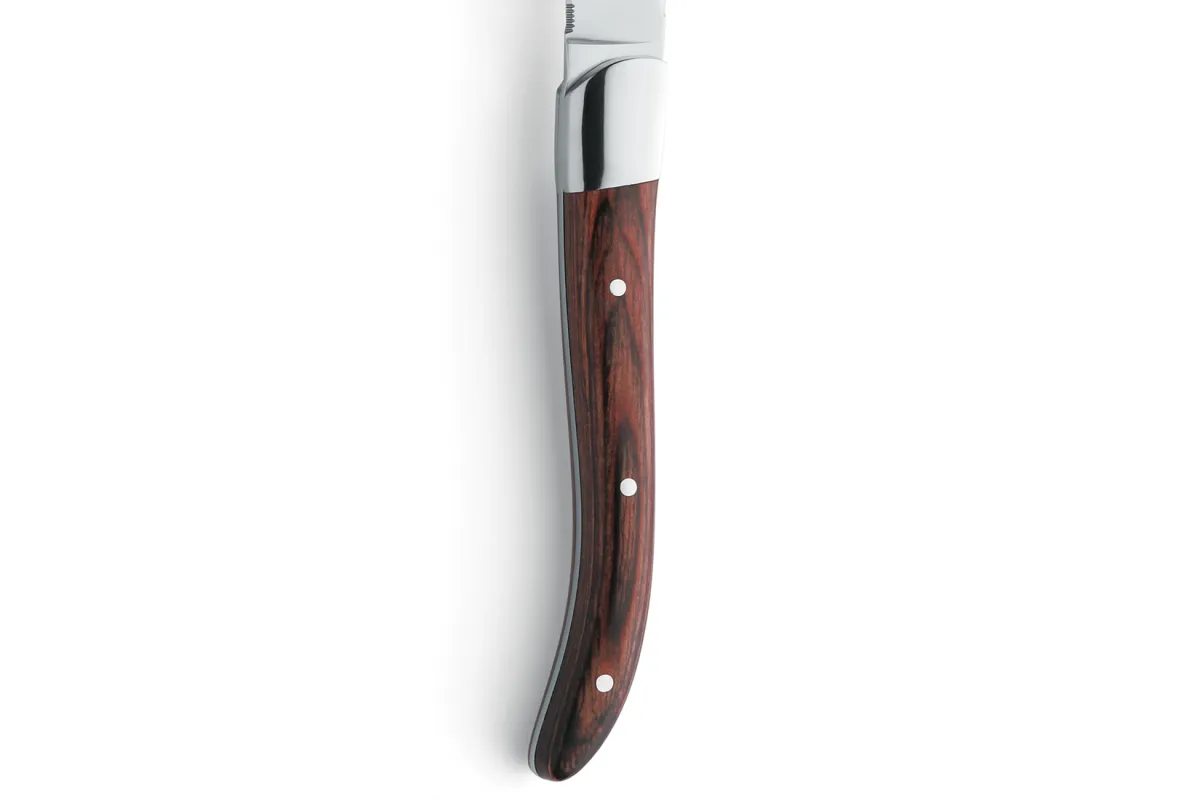 Nóż stekowy ząbkowany Amefa linia Royal Steak 252000B000113