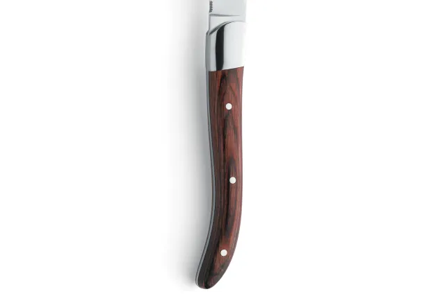Nóż stekowy ząbkowany Amefa linia Royal Steak 252000B000113