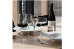 Kieliszek do prosecco Mode, 240ml RONA 70480900