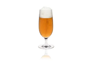 Kieliszek/pokal do piwa Edition, 360ml RONA 60061900