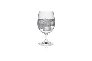 Kieliszek/pokal do wody Invitation, 240ml RONA 62001100