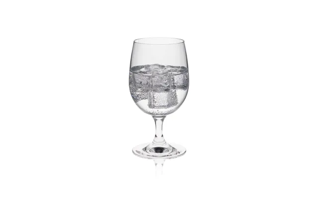 Kieliszek/pokal do wody Invitation, 240ml RONA 62001100