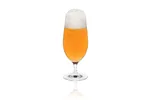 Kieliszek/pokal do piwa Invitation, 460ml RONA 60011900