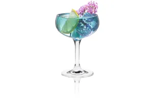 Kieliszek/czarka szampana Classic Cocktails Optic, 260ml RONA 6515P2800