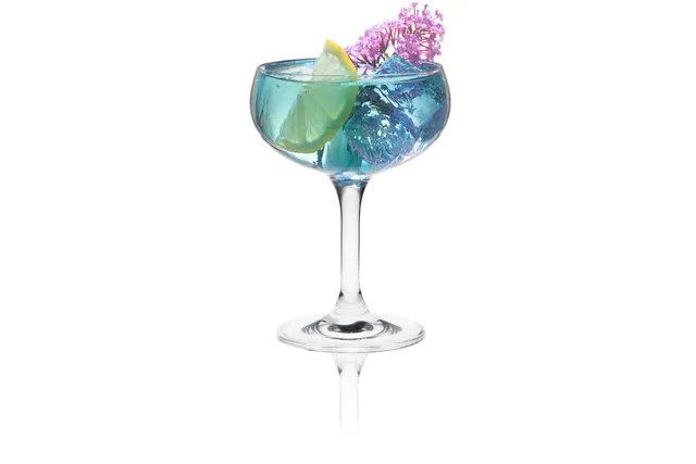 Kieliszek/czarka szampana Classic Cocktails Optic, 260ml RONA 6515P2800