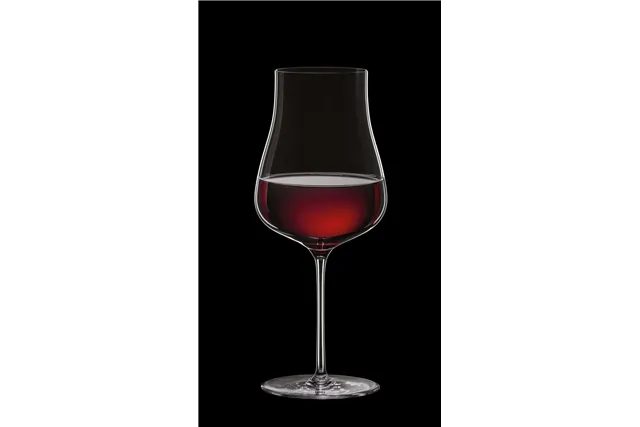 Kieliszek do win białych,różowych oraz młodych czerwonych Linea Umana, 690ml RONA 72873100
