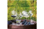 Kieliszek do win białych,różowych oraz młodych czerwonych Linea Umana, 690ml RONA 72873100
