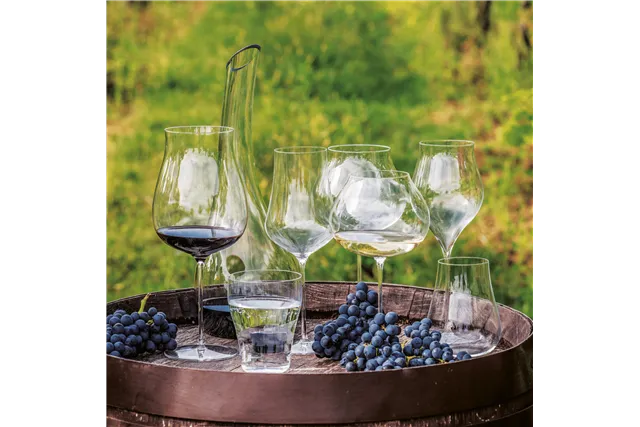 Kieliszek do najlepszych win białych Linea Umana, 760ml RONA 72873200