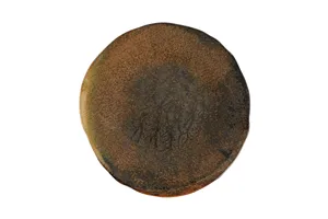 Talerz płytki Genesis, 170 mm Porland 04SWA000061