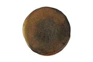 Talerz płytki Genesis, 220 mm Porland 04SWA000053