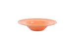 Talerz do pasty Amber 260 mm Porland 04ALM002258