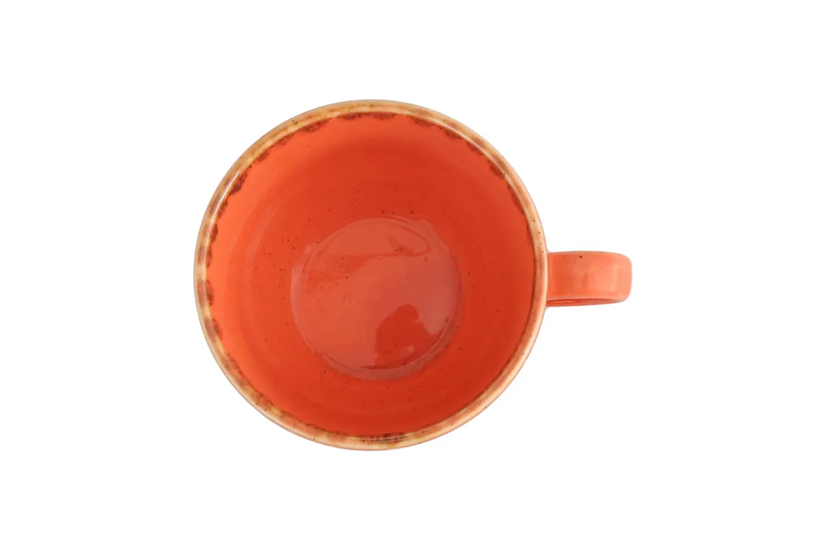 Filiżanka elegancka Amber 250 ml Porland 04ALM001409