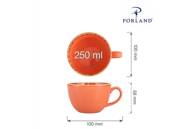 Filiżanka elegancka Amber 250 ml Porland 04ALM001409