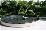 Talerz o organicznym kształcie Arando 350x210 mm Fine Dine 778661