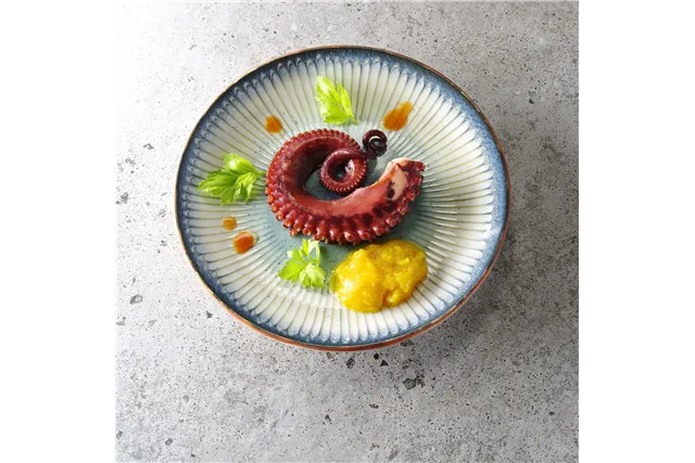 Miska Galaxy, 200 mm Fine Dine 768969