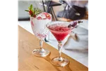 Kieliszek do martini Broadway 210 ml Arcoroc P8795