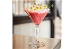 Kieliszek do martini Broadway 210 ml Arcoroc P8795