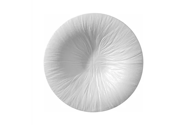 Talerz do pasty Fiord 250mm Fine Dine 788530
