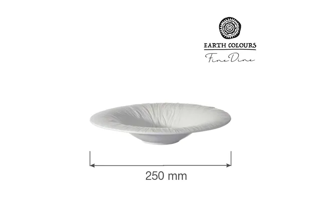 Talerz do pasty Fiord 250mm Fine Dine 788530