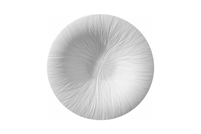 Talerz do pasty Fiord 290mm Fine Dine 788554