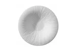 Talerz do pasty Fiord 290mm Fine Dine 788554