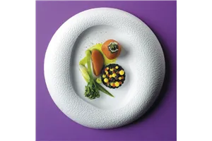 Talerz gourmet Fizz 270mm Fine Dine 788585