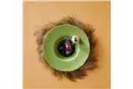 Miska Edenic, 150mm Fine Dine 767962