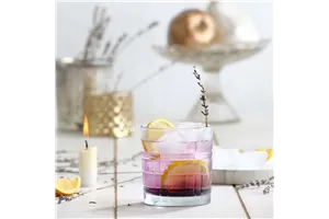 Szklanka do whiskey Glasgow 325 ml, LAV (dawniej LV-BRT430X) LAV LH-GLA432KH