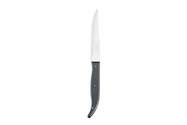 Nóż do steków, seria STEAK BASIC, STEAK BASIC, czarny, 230mm, Ząbkowany Arcos 372400