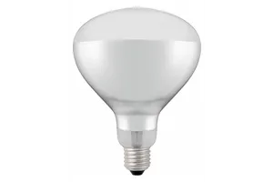 Żarówka grzewcza na podczerwień, biały, 230V/250W, ⌀125x170mm Hendi 919200