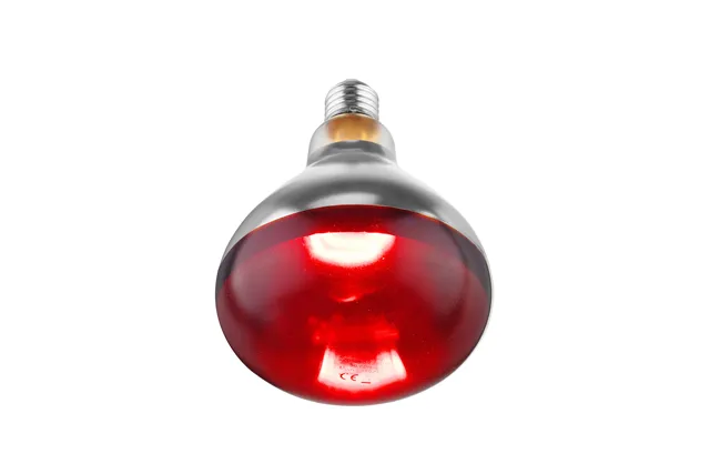 Żarówka grzewcza na podczerwień, czerwony, 230V/250W, ⌀125x170mm Hendi 919217