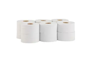 Papier toaletowy MERIDA KLASIK, zgrzewka 12 rolek, długości 220 m, ŚREDNICA 19 CM